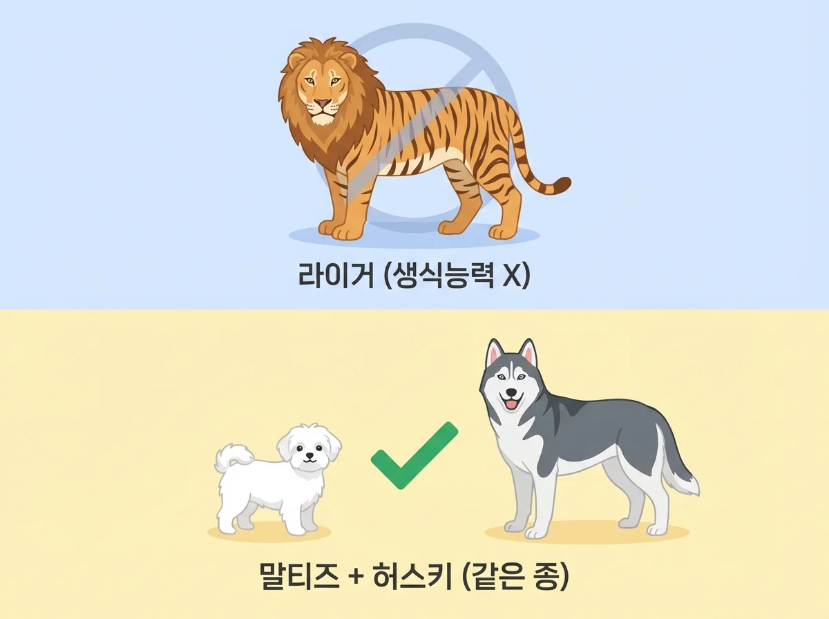 라이거 타이곤 차이 생물 분류