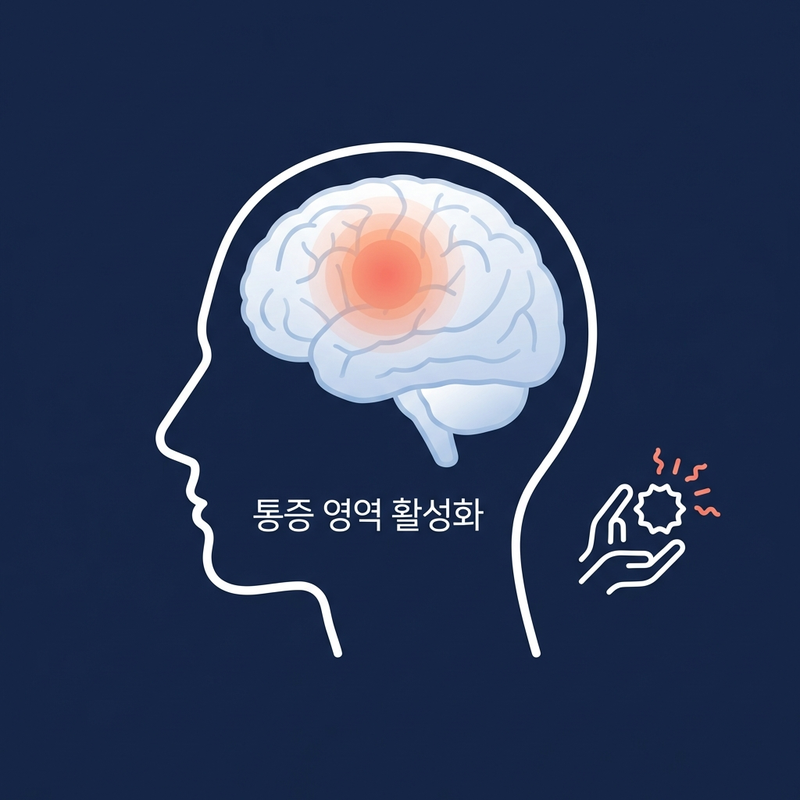 소유효과 뇌 활성화 영역