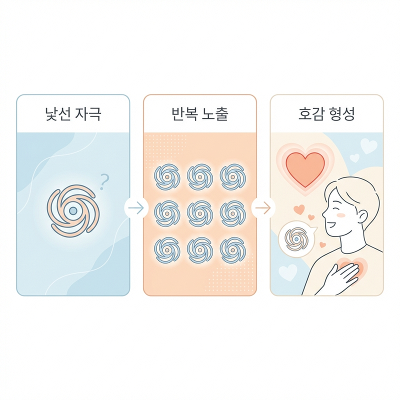 단순노출효과 원리 설명