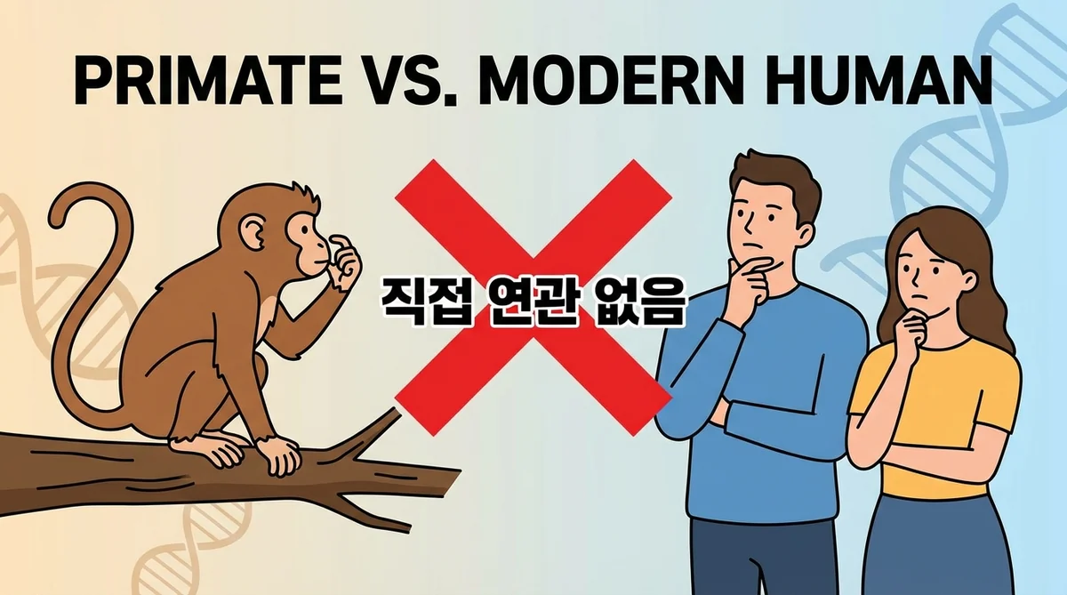 원숭이 진화 사람 오해 일러스트
