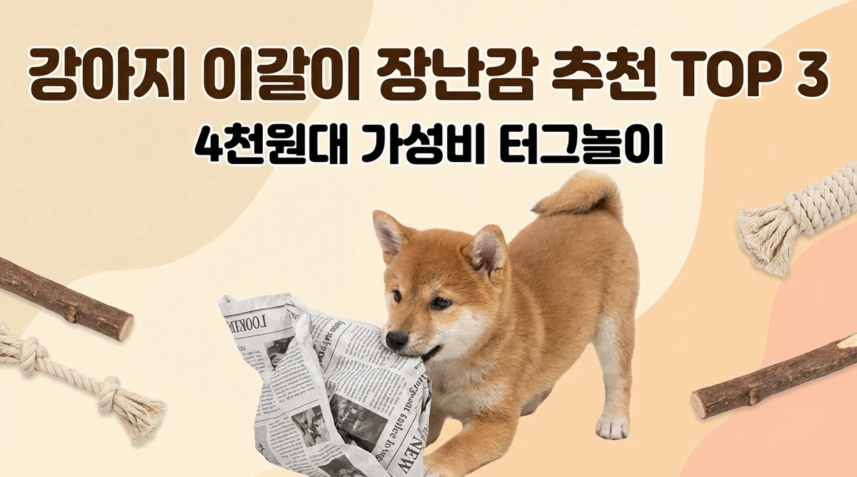 강아지 이갈이 장난감 추천 TOP 3 - 4천원대 가성비 터그놀이