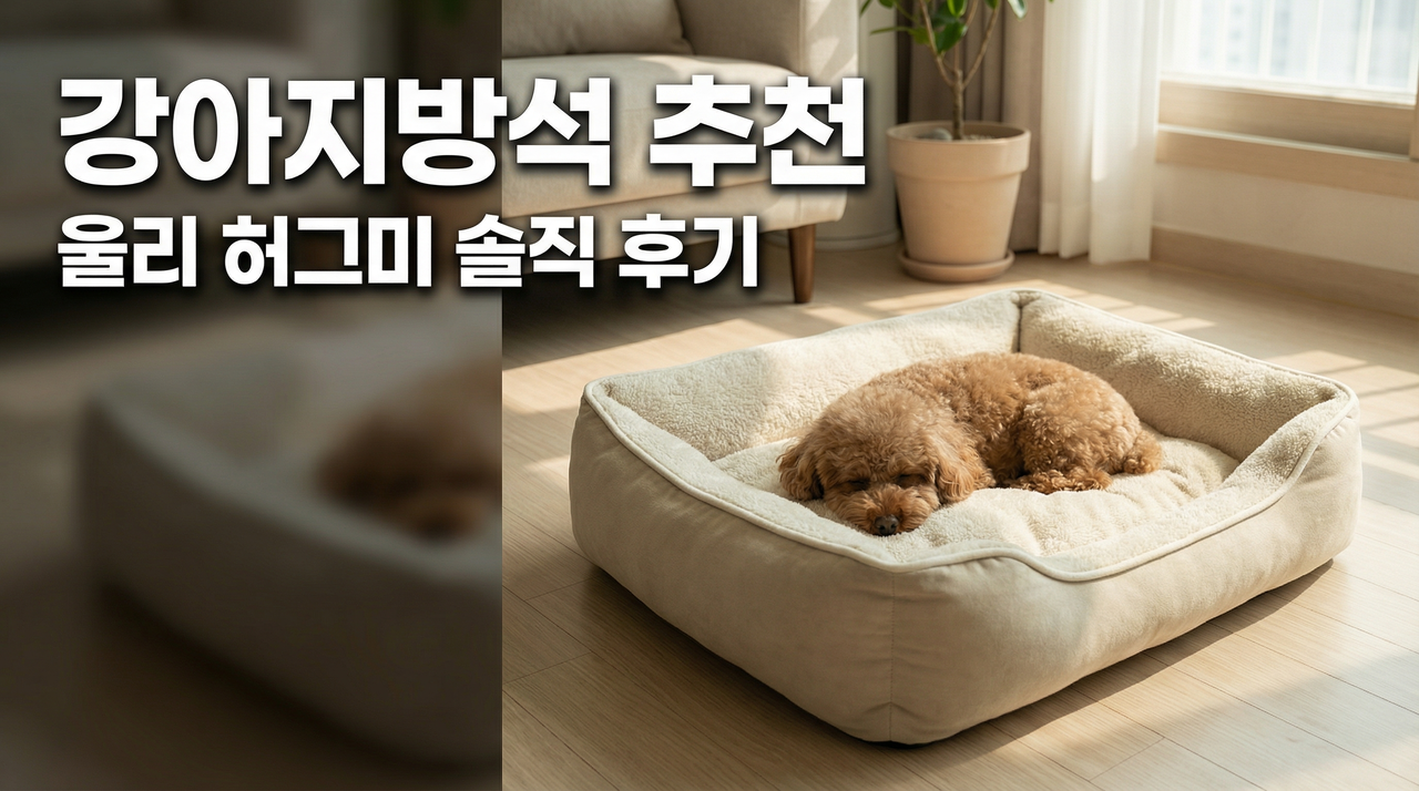 강아지방석 추천 울리 허그미 솔직 후기