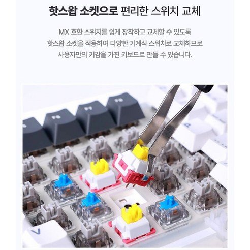 독거미 F87 Pro 핫스왑 소켓 스위치 교체 장면, 형형색색 스위치 클로즈업