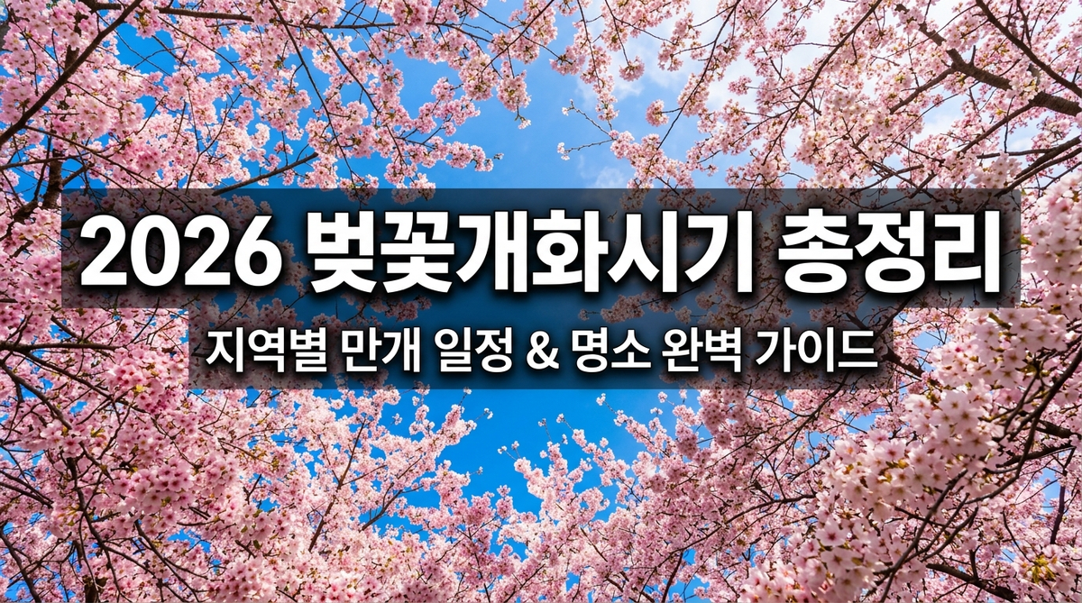 2026 벚꽃개화시기 총정리