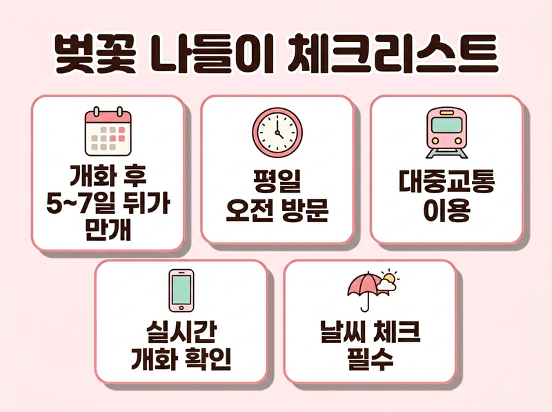 벚꽃 나들이 꿀팁, 벚꽃 만개 타이밍, 벚꽃 방문 체크리스트