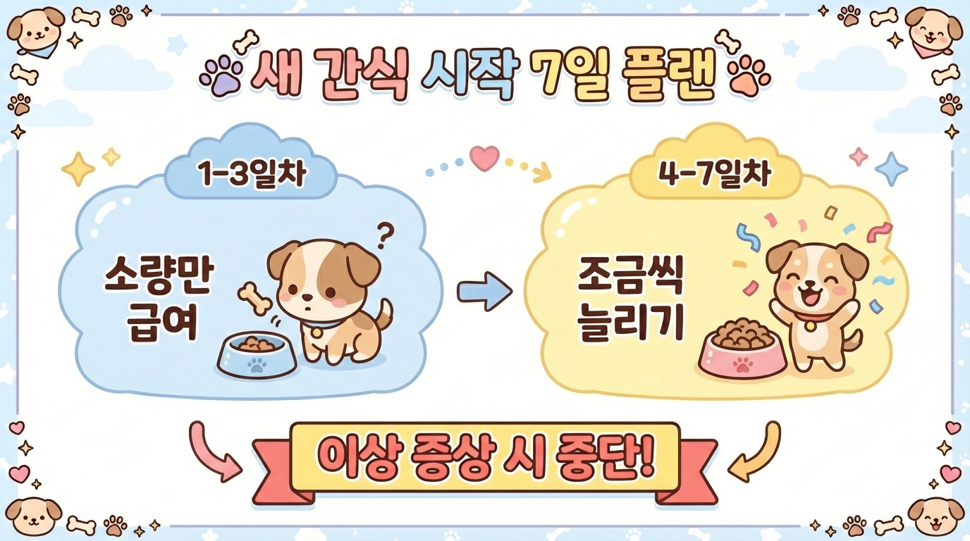 새 간식 시작 7일 플랜